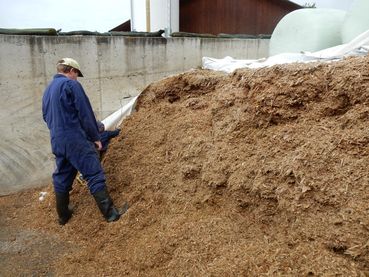 Lockeres Futter - Kopie-min.jpg © LK Kärnten/Wolfgang Stromberger Lockeres Futter - Kopie-min.jpg © LK Kärnten/Wolfgang Stromberger