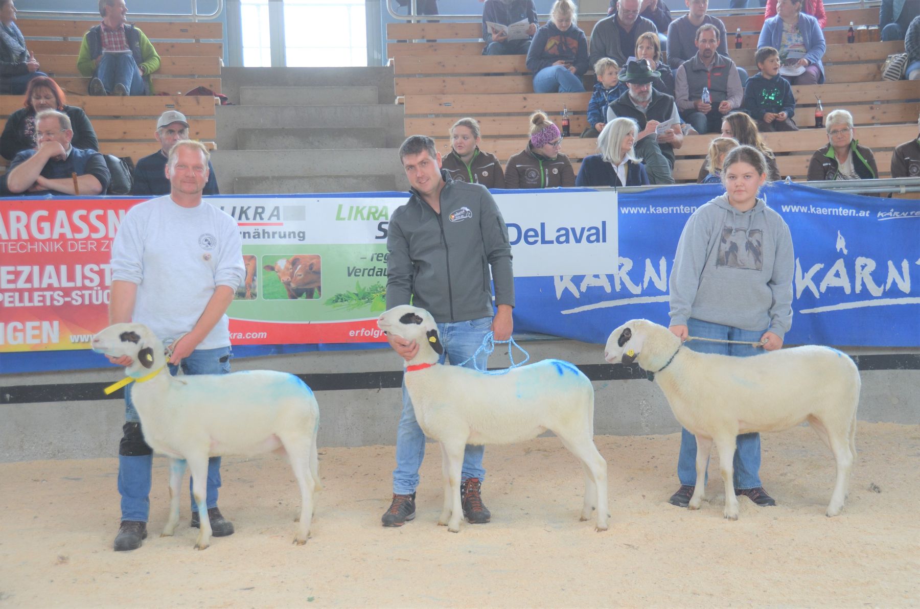 © Schaf- und Ziegenzuchtverband Kärnten © Schaf- und Ziegenzuchtverband Kärnten