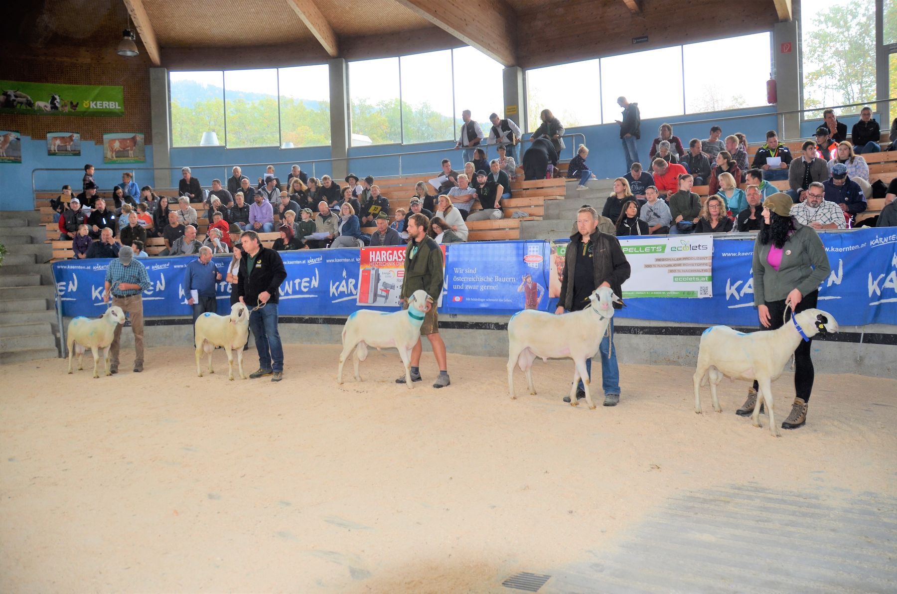 © Schaf- und Ziegenzuchtverband Kärnten © Schaf- und Ziegenzuchtverband Kärnten