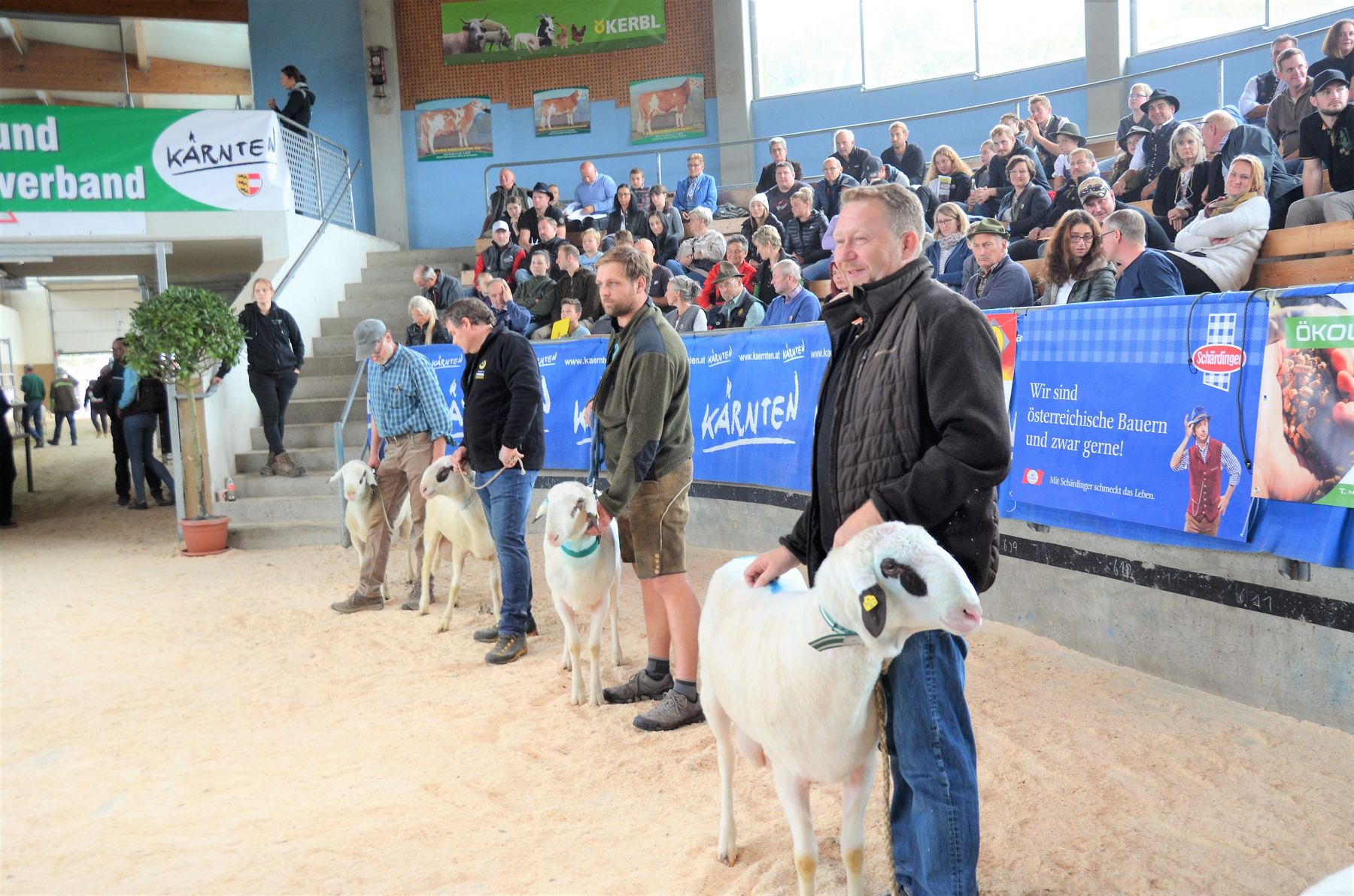 © Schaf- und Ziegenzuchtverband Kärnten © Schaf- und Ziegenzuchtverband Kärnten