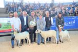 © Schaf- und Ziegenzuchtverband Kärnten © Schaf- und Ziegenzuchtverband Kärnten