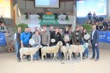 © Schaf- und Ziegenzuchtverband Kärnten © Schaf- und Ziegenzuchtverband Kärnten