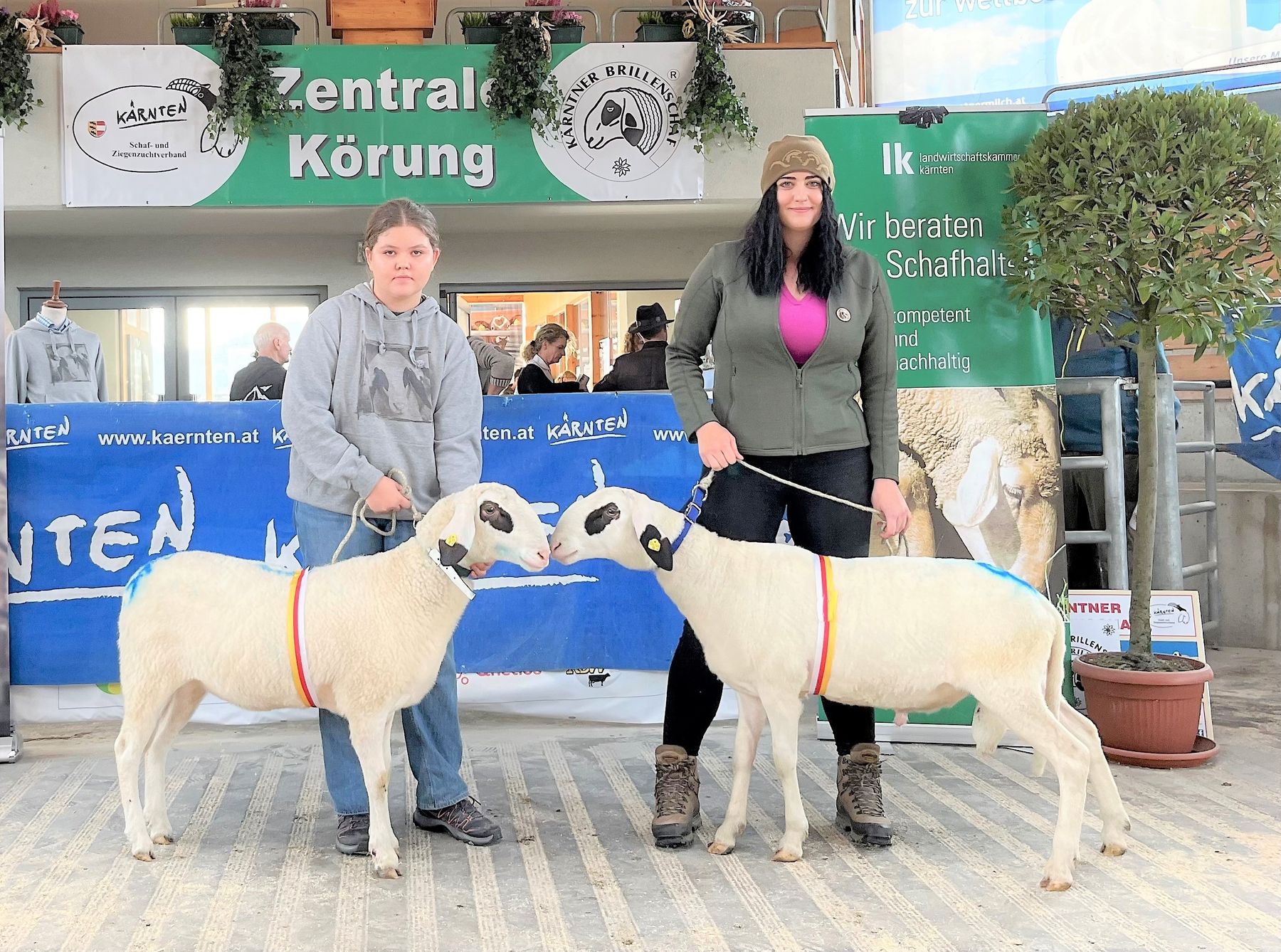 © Schaf- und Ziegenzuchtverband Kärnten © Schaf- und Ziegenzuchtverband Kärnten
