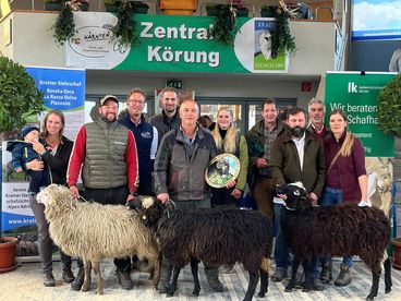 Zentralkörung Krainer Steinschaf 2022