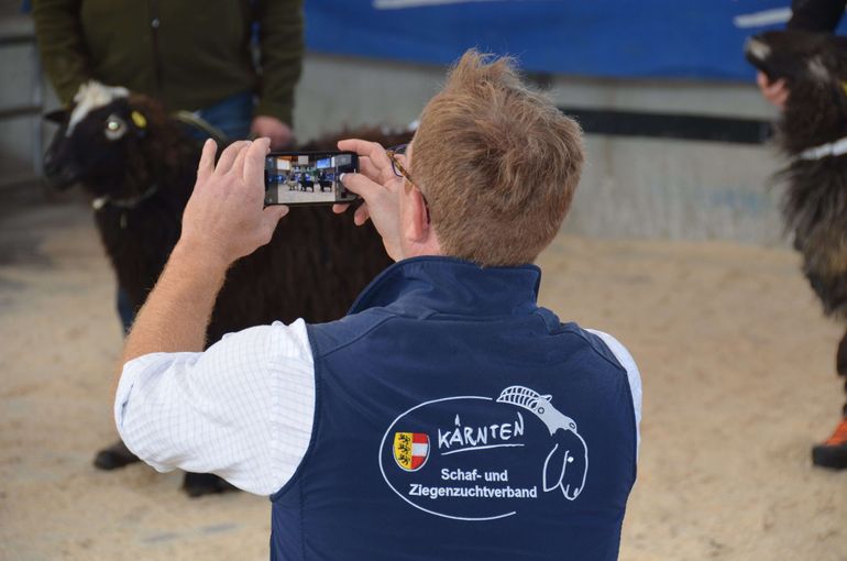 © Schaf- und Ziegenzuchtverband Kärnten © Schaf- und Ziegenzuchtverband Kärnten