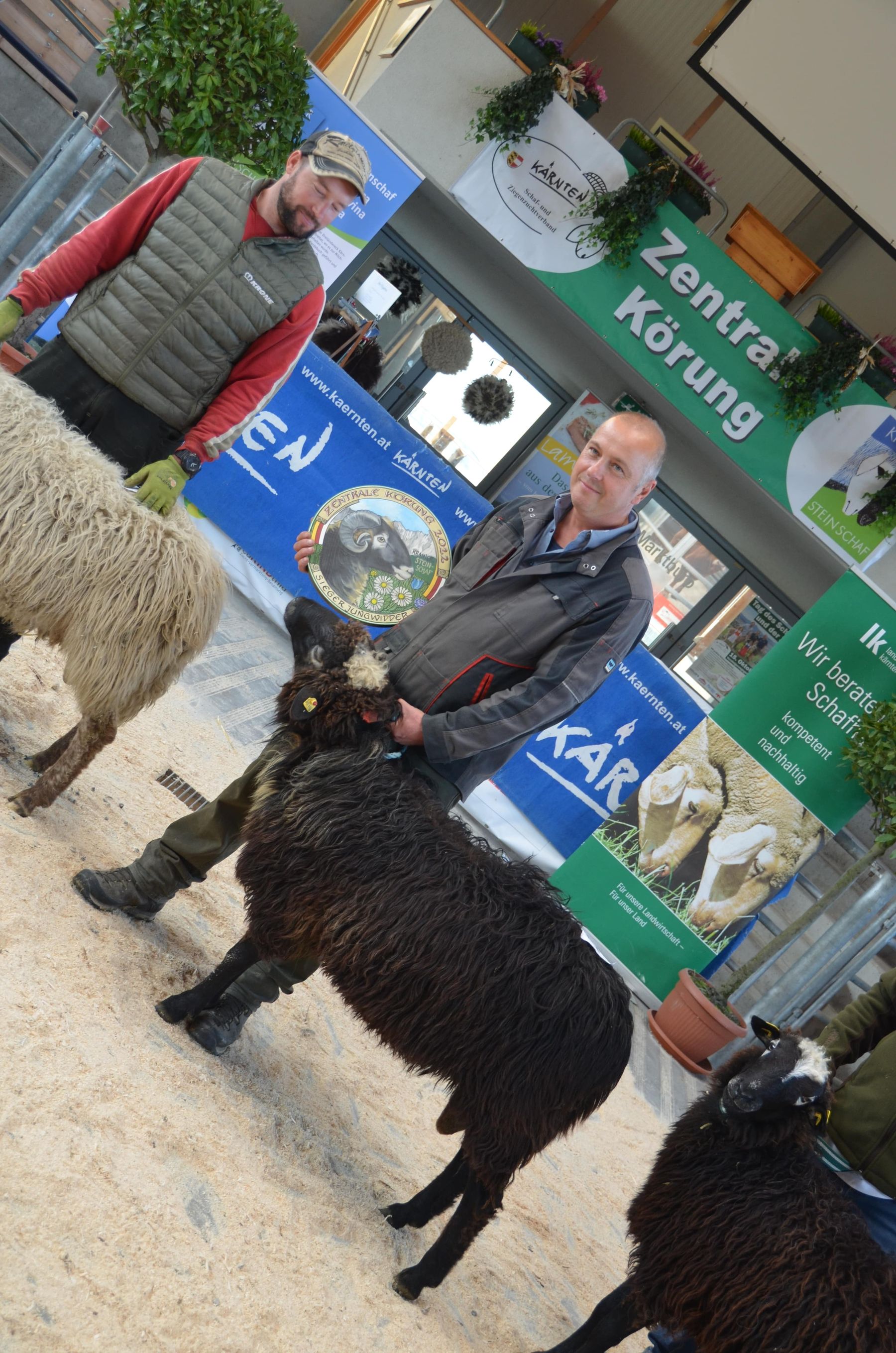 © Schaf- und Ziegenzuchtverband Kärnten