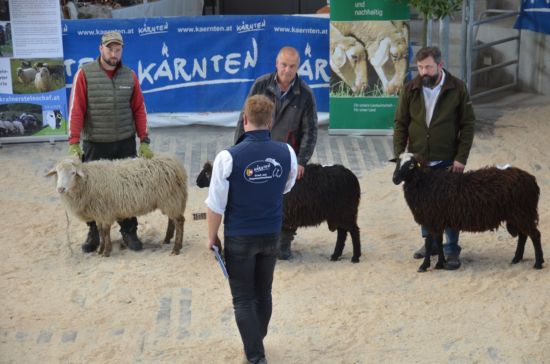© Schaf- und Ziegenzuchtverband Kärnten © Schaf- und Ziegenzuchtverband Kärnten