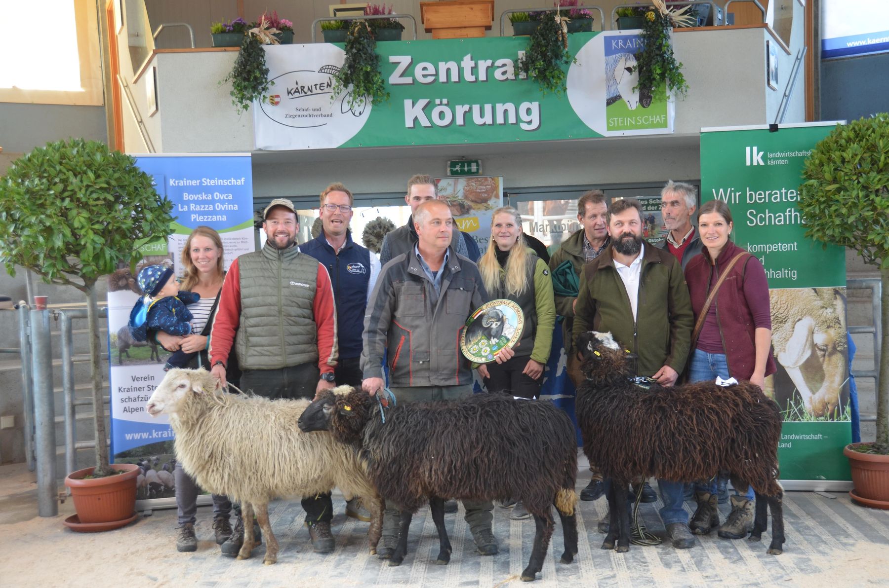 © Schaf- und Ziegenzuchtverband Kärnten © Schaf- und Ziegenzuchtverband Kärnten