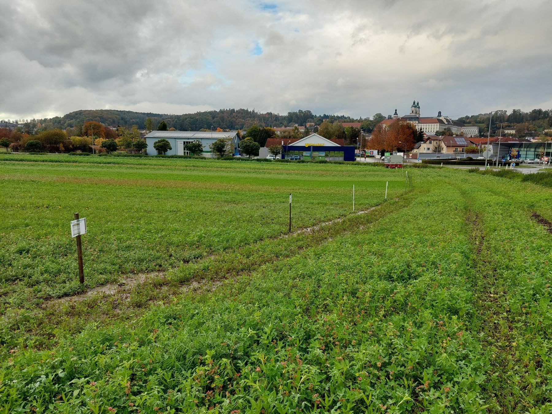 Überblick ZWF-Versuch © BWSB/Wallner Überblick ZWF-Versuch © BWSB/Wallner