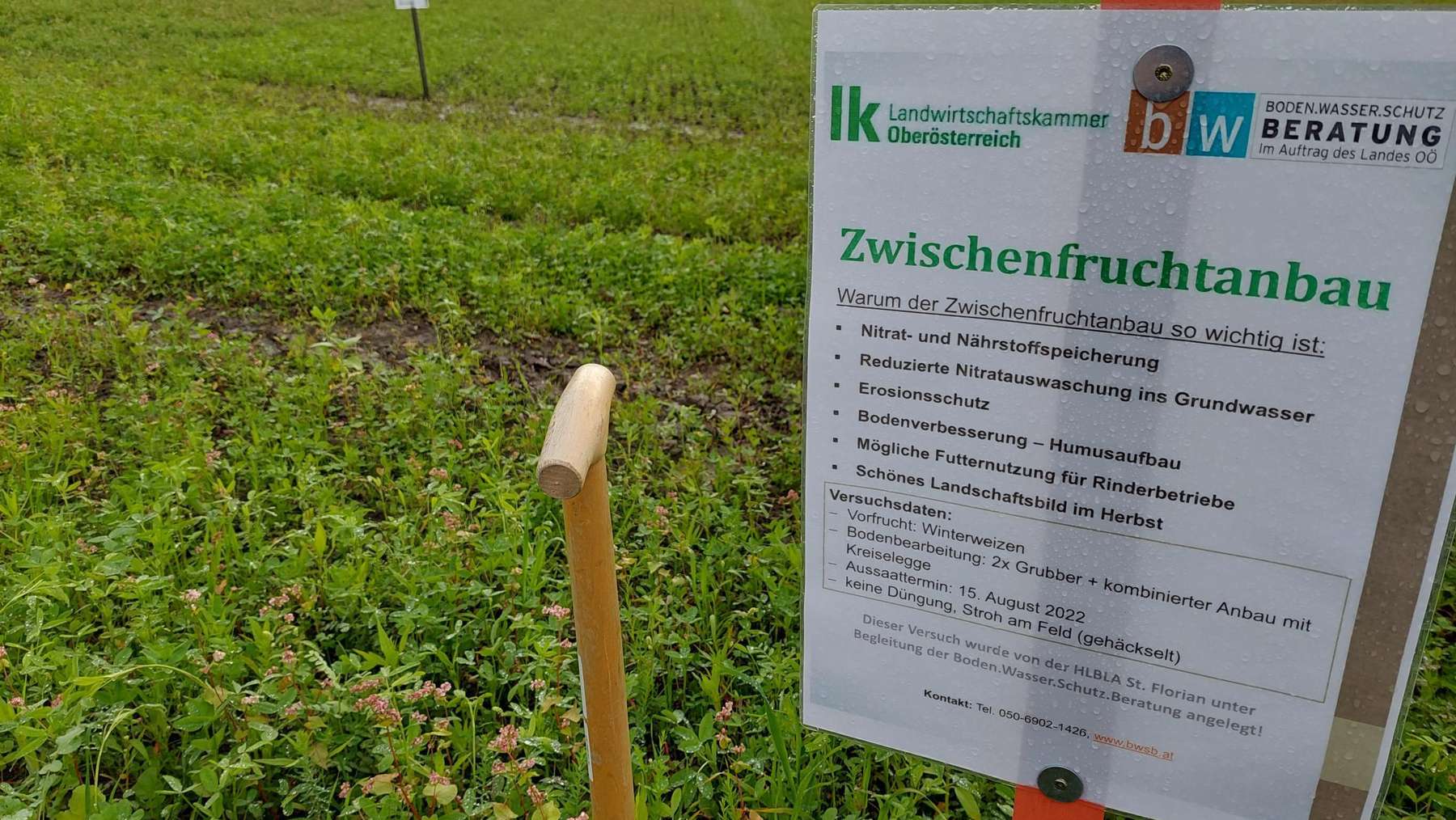 Eindrücke vom Zwischenfruchtversuch an der HLBLA St. Florian, 16. Oktober 2022 Eindrücke vom Zwischenfruchtversuch an der HLBLA St. Florian, 16. Oktober 2022
