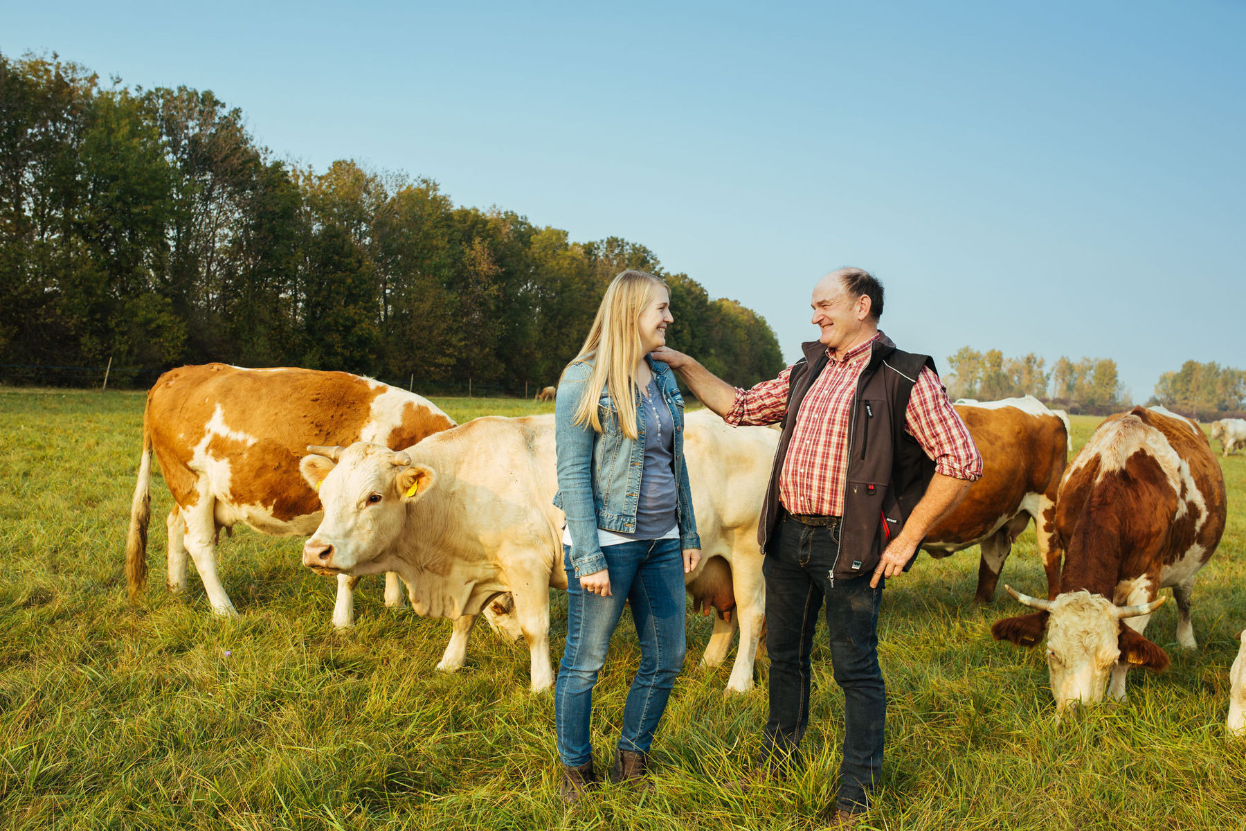 Frau und Mann auf Wiese vor einer Kuhherde