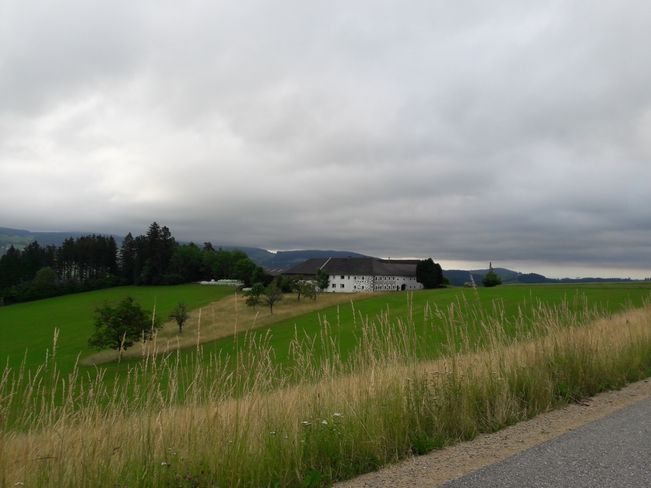 Foto abgestufter Wiesenbau.jpg Foto abgestufter Wiesenbau.jpg