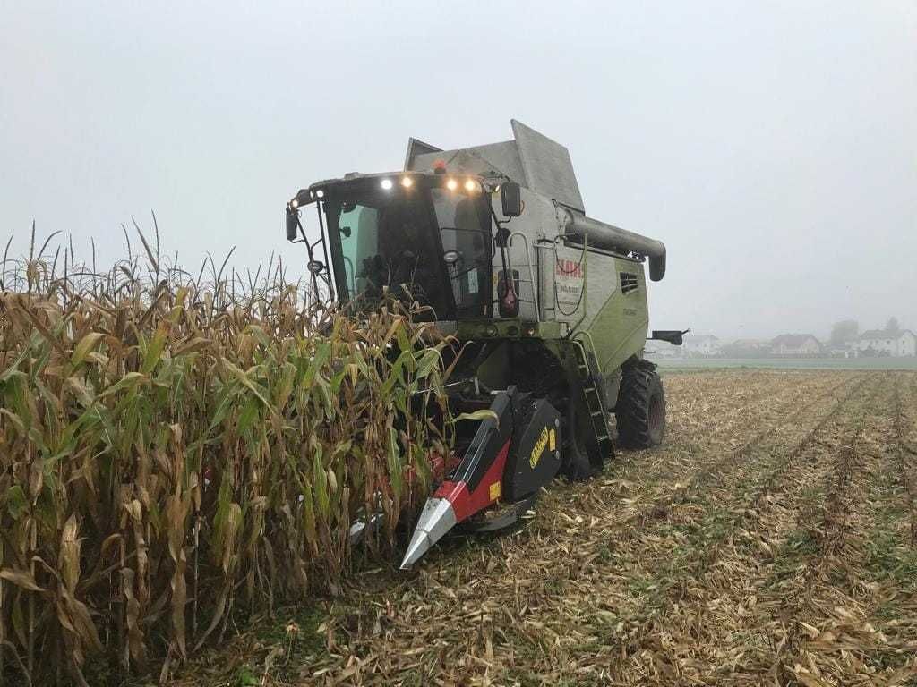 Heute wurde der dritte 🌼 BIOStandort, diesmal in Braunau, welcher am EIP Projekt "Mulchsaaten & Hacktechniken" teilnimmt beerntet.  Verglichen wurde der Maisertrag nach einer abfrostenden☀️& winterharten☃️Begrünung. Ertraglich hatte der Mais 🌽 nach der abfrostenden Begrünung die 👃 vorne! © BWSB