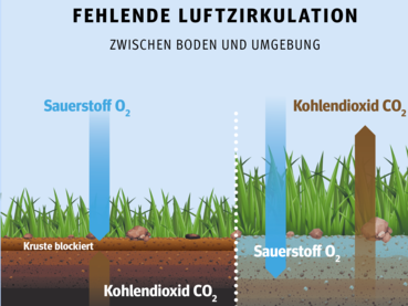 Bodenversauerung.png © Eigene Darstellung