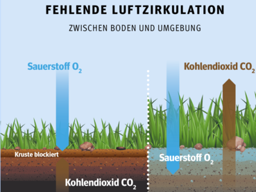Bodenversauerung.png © Eigene Darstellung Bodenversauerung.png © Eigene Darstellung