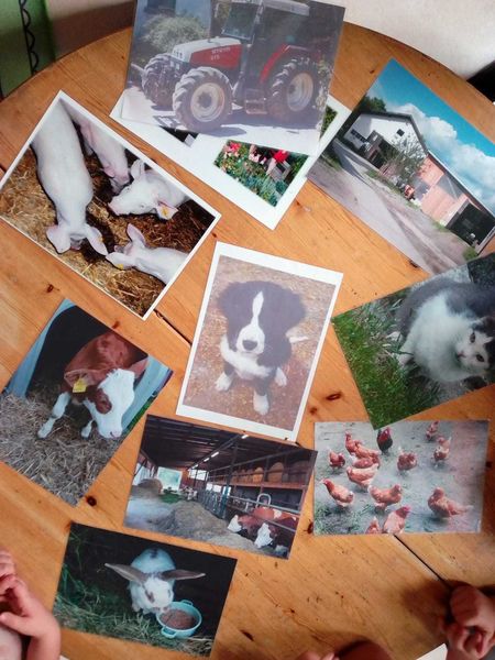 IMG-20221012-WA0003.jpg IMG-20221012-WA0003.jpg