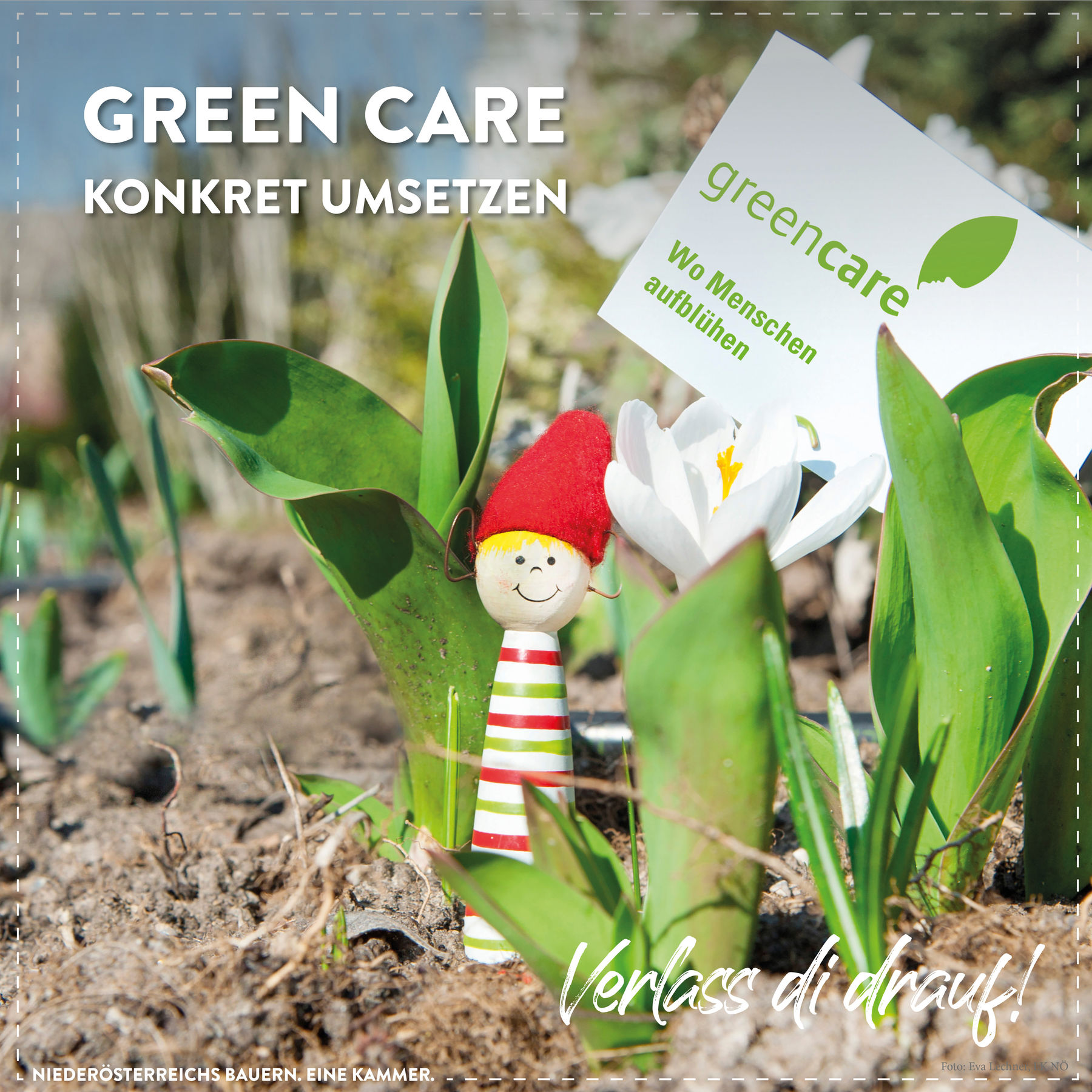 Was es mit sozialer Landwirtschaft auf sich hat. © Marlene Weitzenböck/LK Niederösterreich Was es mit sozialer Landwirtschaft auf sich hat. © Marlene Weitzenböck/LK Niederösterreich