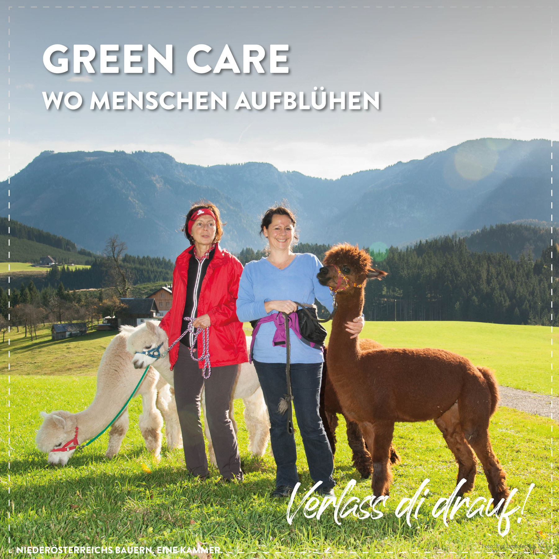 Was es mit sozialer Landwirtschaft auf sich hat. © Marlene Weitzenböck/LK Niederösterreich Was es mit sozialer Landwirtschaft auf sich hat. © Marlene Weitzenböck/LK Niederösterreich