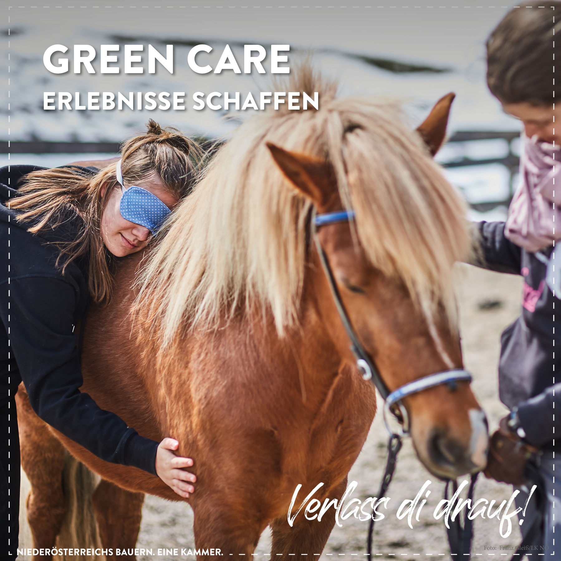 Was es mit sozialer Landwirtschaft auf sich hat. © Marlene Weitzenböck/LK Niederösterreich Was es mit sozialer Landwirtschaft auf sich hat. © Marlene Weitzenböck/LK Niederösterreich