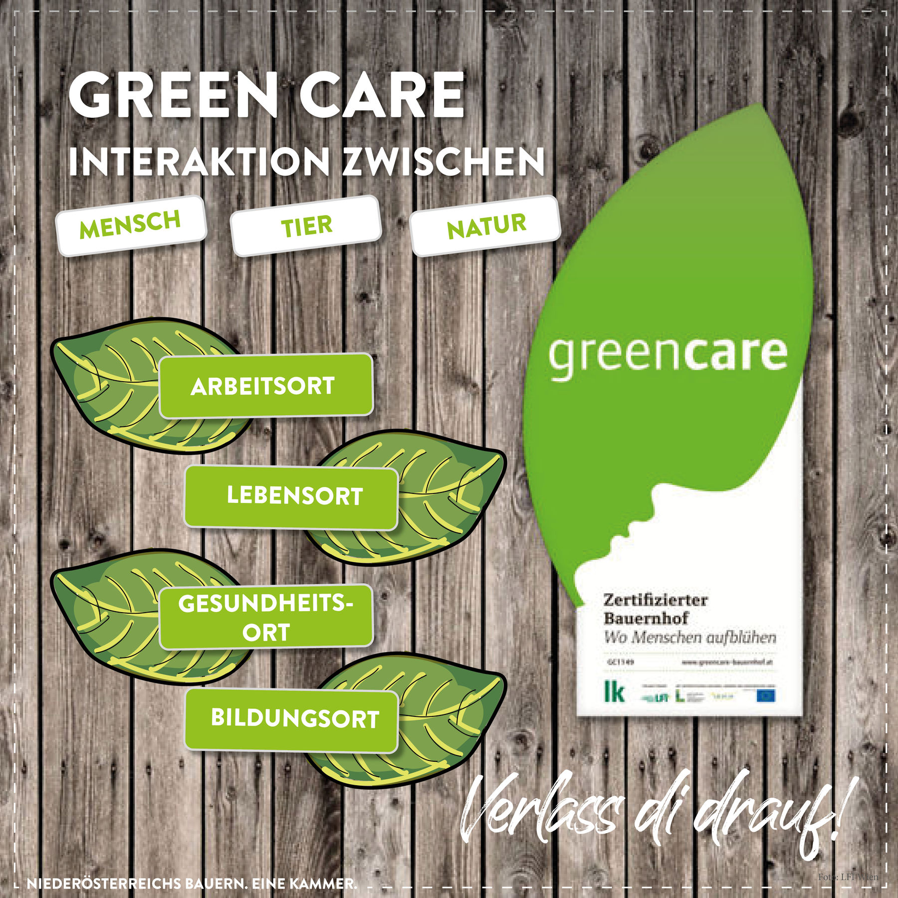 Was es mit sozialer Landwirtschaft auf sich hat. © Marlene Weitzenböck/LK Niederösterreich Was es mit sozialer Landwirtschaft auf sich hat. © Marlene Weitzenböck/LK Niederösterreich