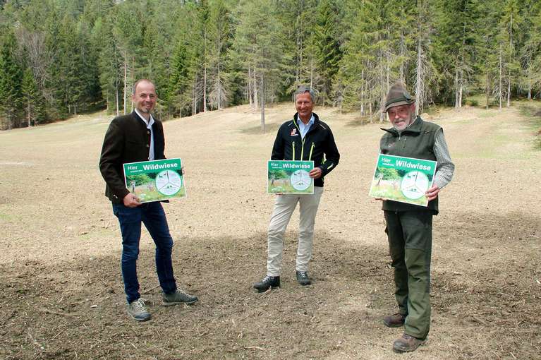 Wildwiesenprojekt mit dem Tiroler Jägerverband