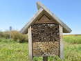 1 + 4_Ziel + Tipps (3).jpg © Bienenzentrum OÖ 1 + 4_Ziel + Tipps (3).jpg © Bienenzentrum OÖ