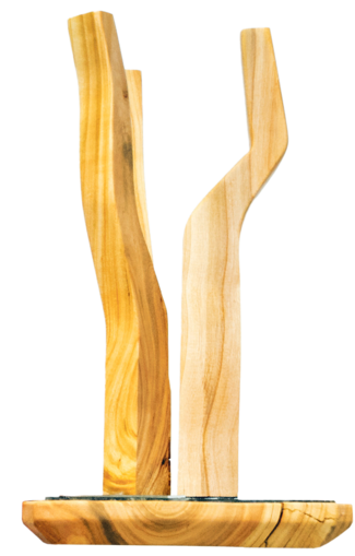Trophäe Vifzack © Landwirtschaftskammer Steiermark