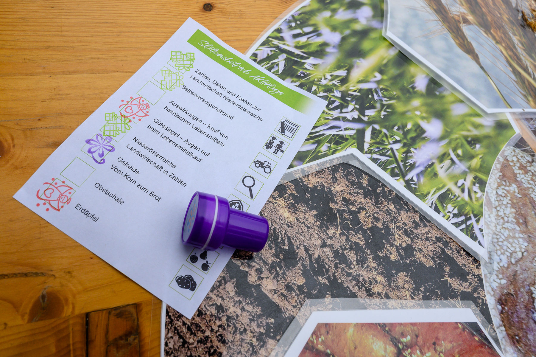 © Bäuerinnen NÖ/Ing. Gerald PFABIGAN © Bäuerinnen NÖ/Ing. Gerald PFABIGAN