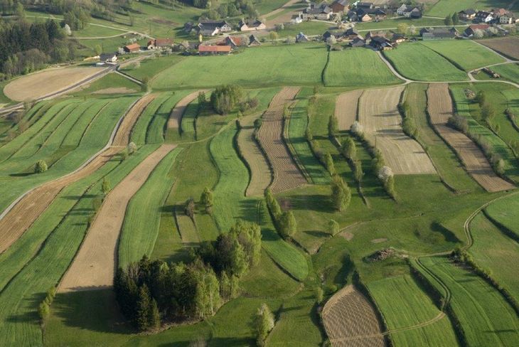 Pilotprojekt Lainsitztal: Im westlichen Waldviertel soll ein neuer Verein das Naturerbe sichern. Pilotprojekt Lainsitztal: Im westlichen Waldviertel soll ein neuer Verein das Naturerbe sichern.