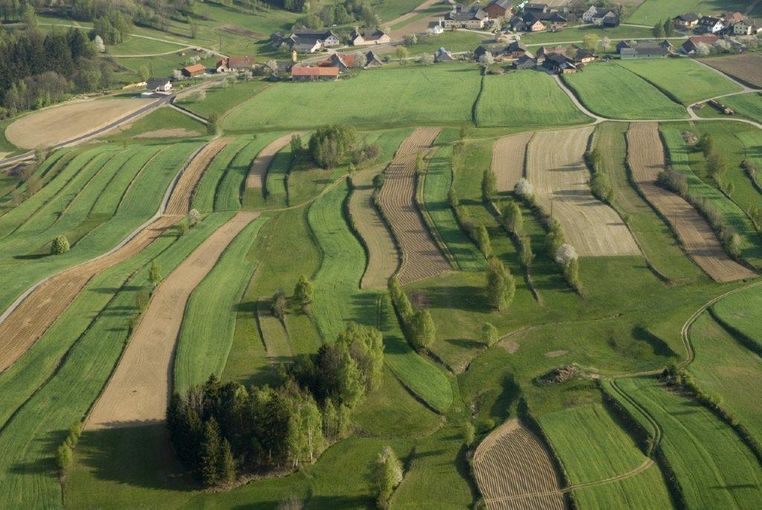 Pilotprojekt Lainsitztal: Im westlichen Waldviertel soll ein neuer Verein das Naturerbe sichern. © Roman Portisch/LK Niederösterreich