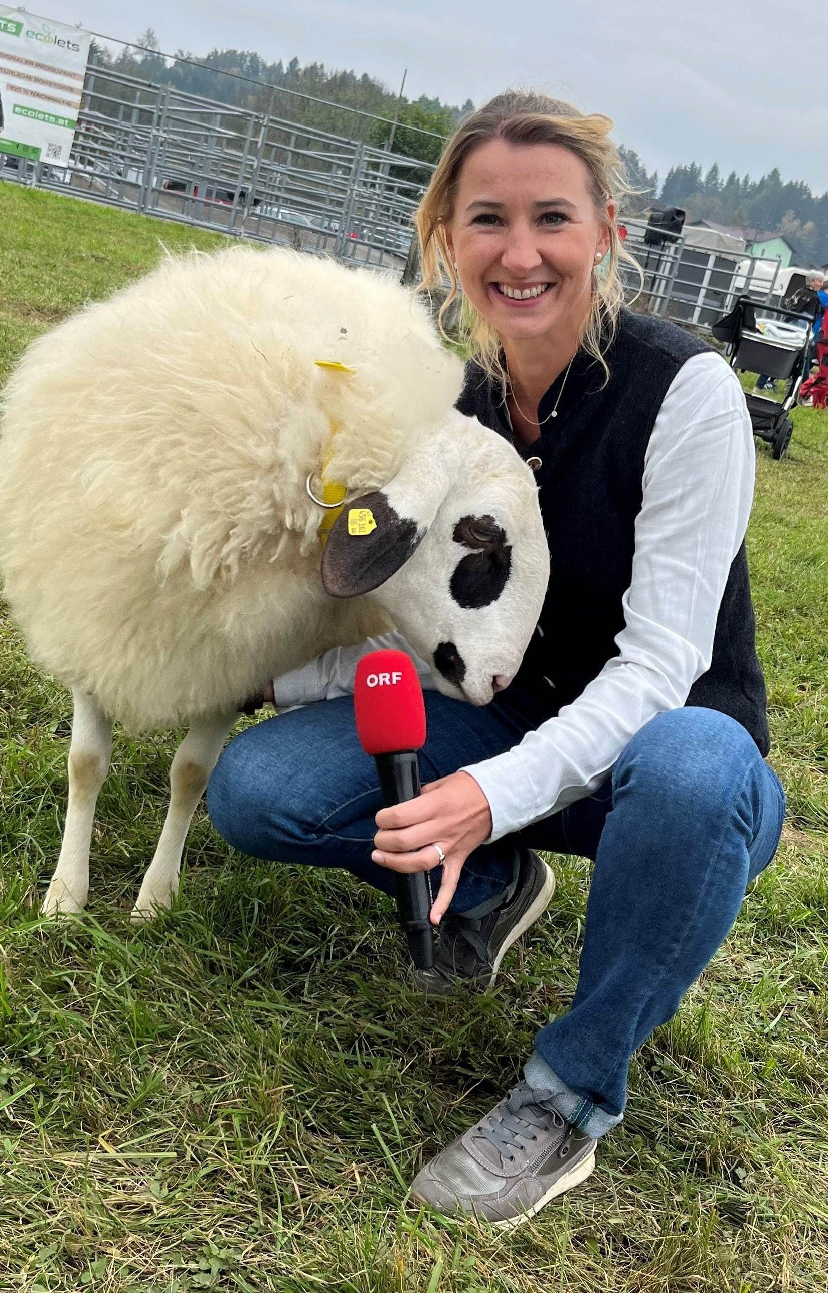 23 schafe-min (1).jpg © Archiv 23 schafe-min (1).jpg © Archiv