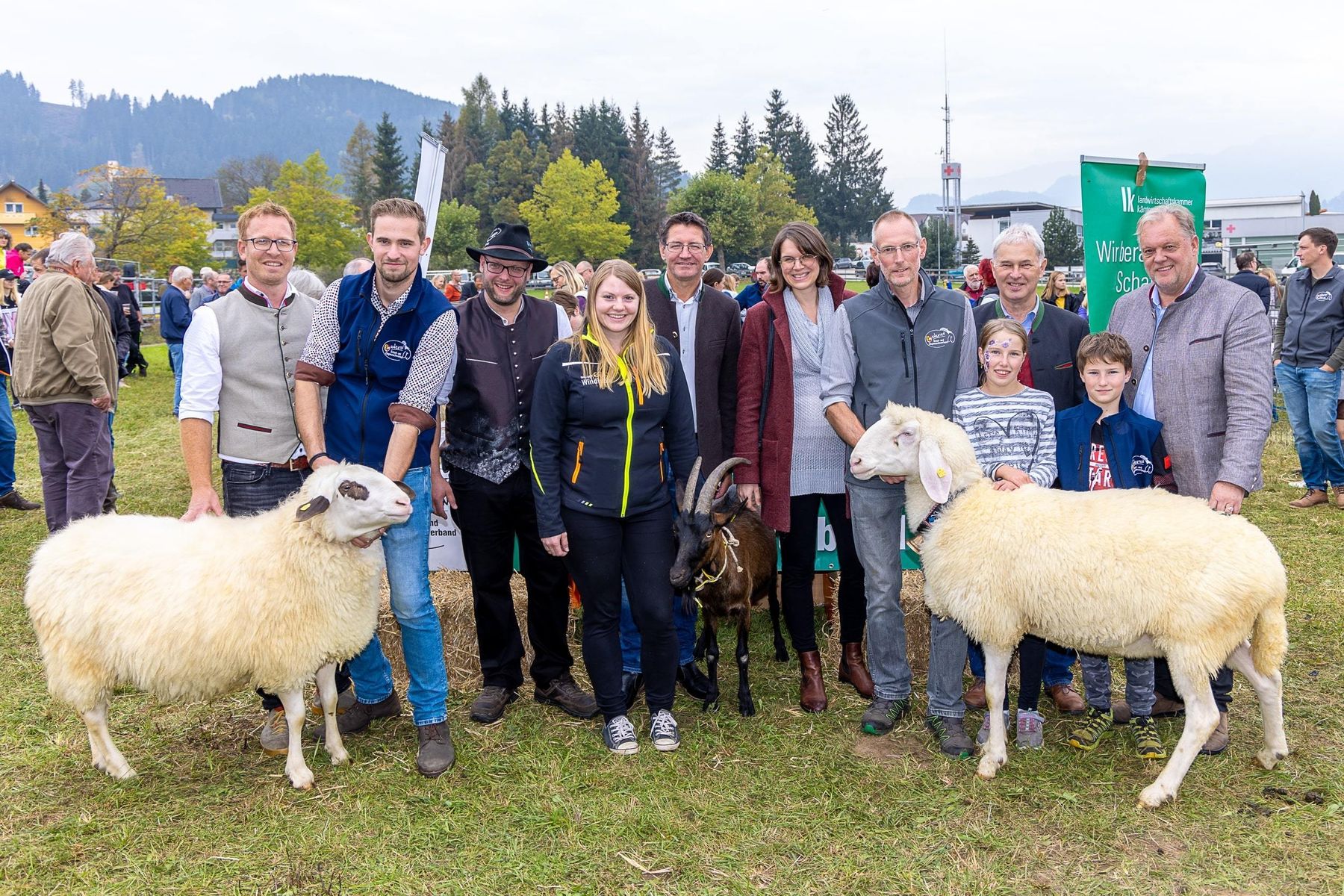 13 Schafe-min (1).jpg © Archiv 13 Schafe-min (1).jpg © Archiv