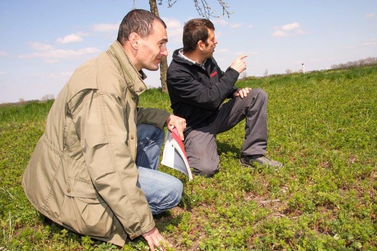 Nach dem Einstiegsstopp der letzten Jahre ermöglicht ÖPUL 2023 konventionellen Betrieben wieder die Möglichkeit, in die Maßnahme Biologische Wirtschaftsweise einzusteigen. © Paula Pöchlauer-Kozel/LK Niederösterreich