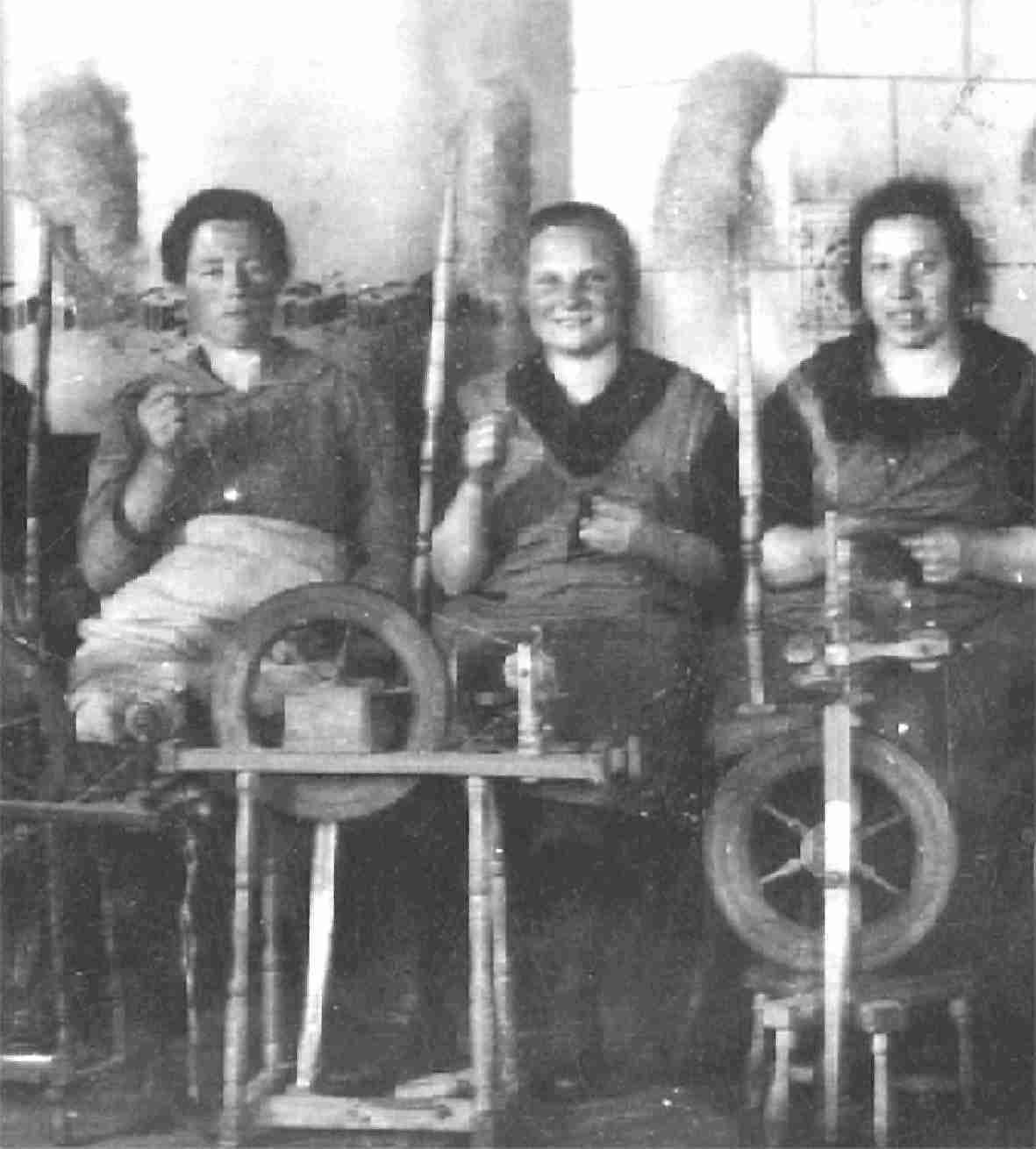 Spinnen.jpg © Archiv Spinnen.jpg © Archiv