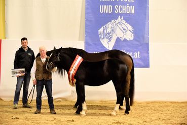 Flicka 2265-1-9823.jpg © Team Myrtill