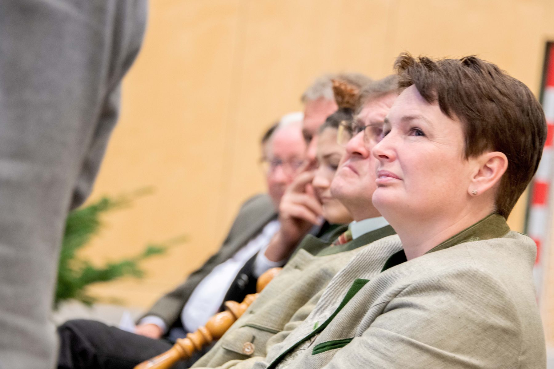 © Waldverband NÖ/dielechnerei © Waldverband NÖ/dielechnerei