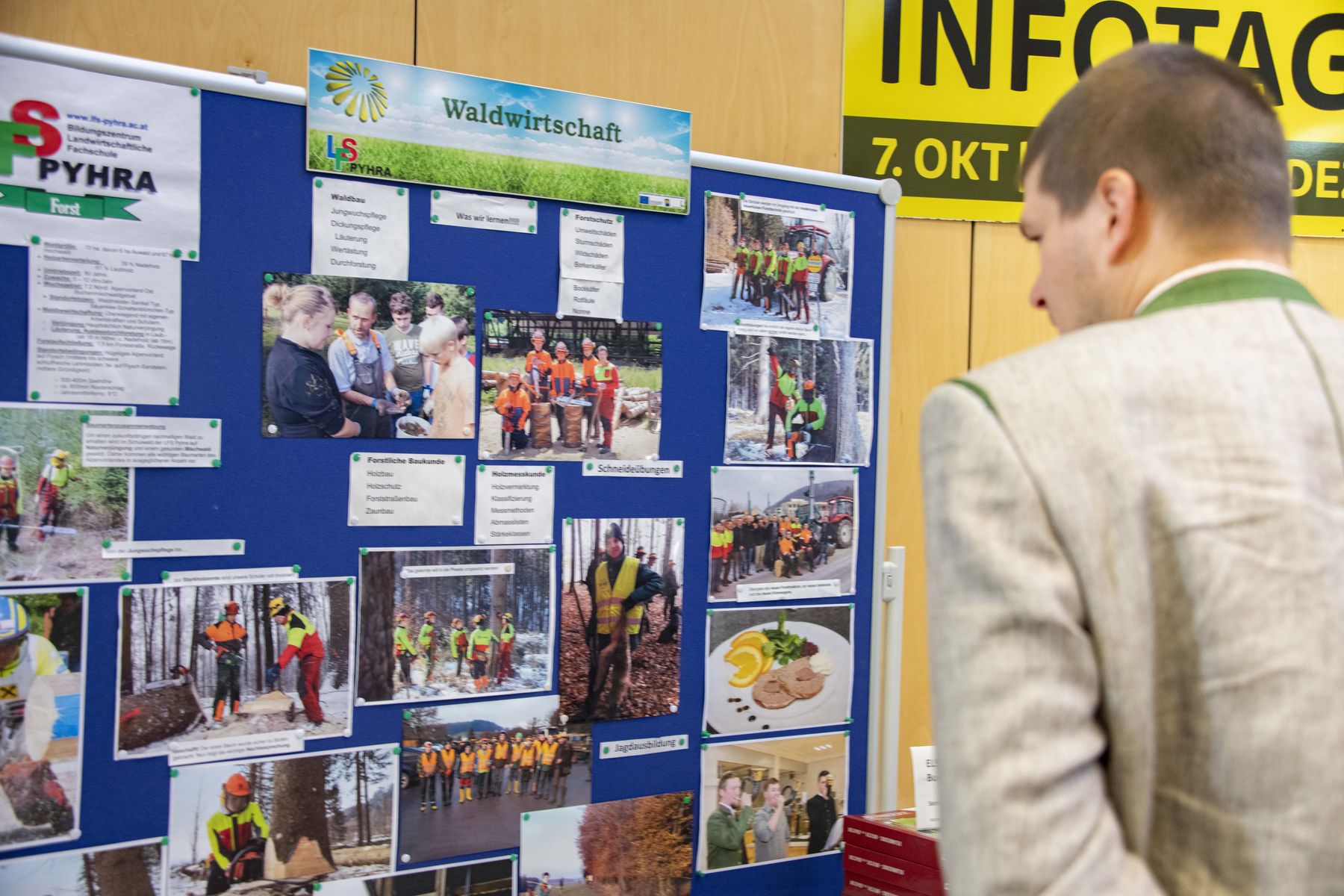 © Waldverband NÖ/dielechnerei © Waldverband NÖ/dielechnerei