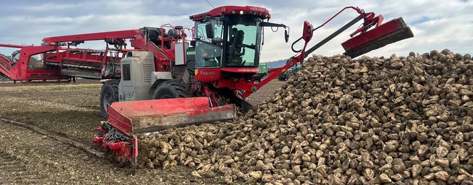 Sub Pflanzen Boxen-Head Ackerkulturen © LK Sub Pflanzen Boxen-Head Ackerkulturen © LK