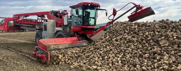 Sub Pflanzen Boxen-Head Ackerkulturen © LK Sub Pflanzen Boxen-Head Ackerkulturen © LK