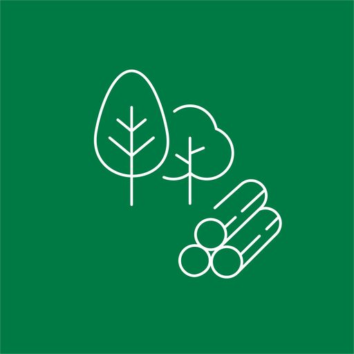 lk_beratung_forstwirtschaft © lk beratung lk_beratung_forstwirtschaft © lk beratung