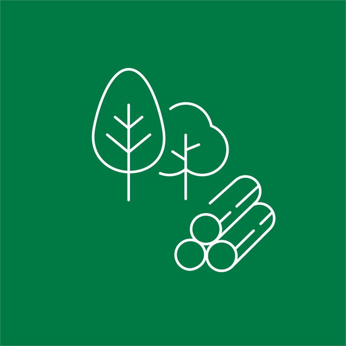 lk_beratung_forstwirtschaft © lk beratung lk_beratung_forstwirtschaft © lk beratung