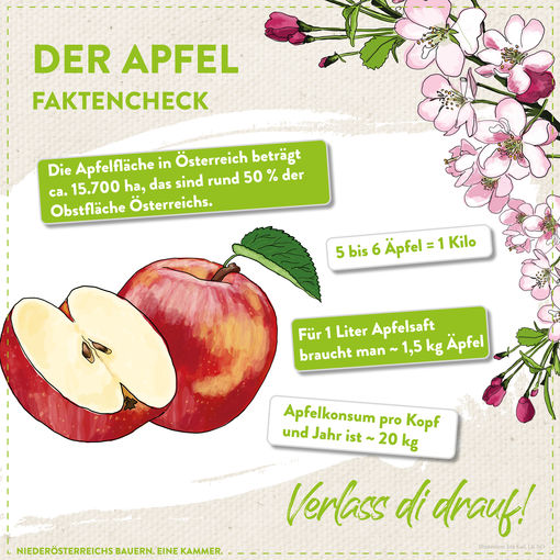 Tag des Apfels © LK Niederösterreich Tag des Apfels © LK Niederösterreich