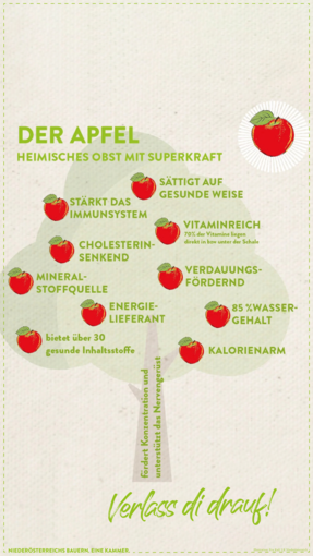 Story_Apfel4.png © Archiv