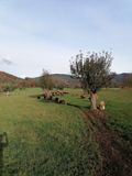 © Bäuerinnen und Bauern aus der Steiermark