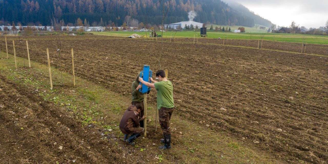 Agroforst_anlegen_web.jpg © agrarfoto.com Agroforst_anlegen_web.jpg © agrarfoto.com