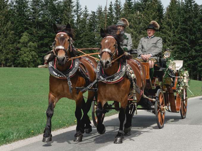 Da schlägt das Urlauberherz höher – Oberhinterberg in Annaberg.jpg