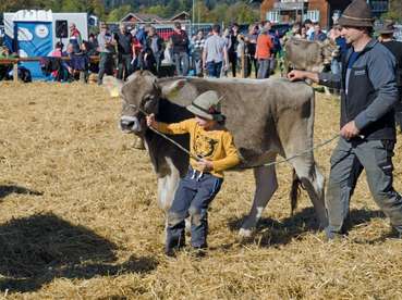 Titel Vausstellungen_0181 © LK Vbg 4c (Mittel).jpg © Karin Schmid