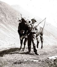 Hiatabua.jpg © Archiv Hiatabua.jpg © Archiv