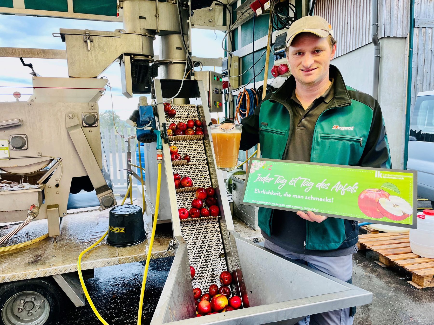 Am 11. November 2022 ist Tag des Apfels. © Anneliese Lechner/LK Niederösterreich Am 11. November 2022 ist Tag des Apfels. © Anneliese Lechner/LK Niederösterreich