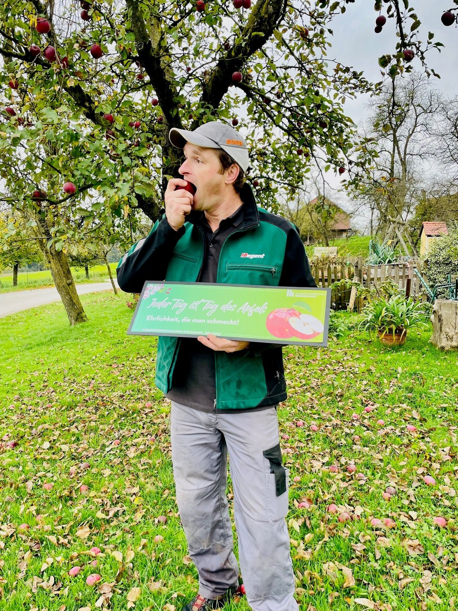 Am 11. November 2022 ist Tag des Apfels. © Anneliese Lechner/LK Niederösterreich Am 11. November 2022 ist Tag des Apfels. © Anneliese Lechner/LK Niederösterreich